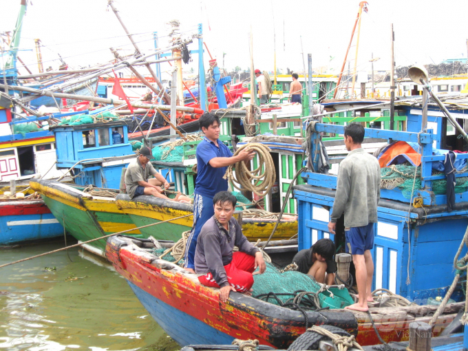 Ngư dân Bình Định khẩn trương cột giằng tàu cá tại nơi neo đậu tránh trú bão số 9. Ảnh: Vũ Đình Thung.