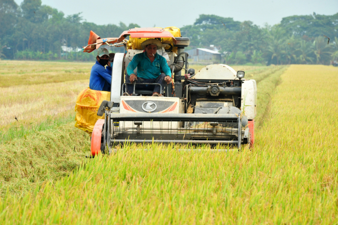 VnSAT Cần Thơ hỗ trợ tập huấn '3 giảm 3 tăng' và ' 1 phải 5 giảm' cho nông dân trồng lúa nhằm gia tăng 30% lợi nhuận. Ảnh: Lê Hoàng Vũ.