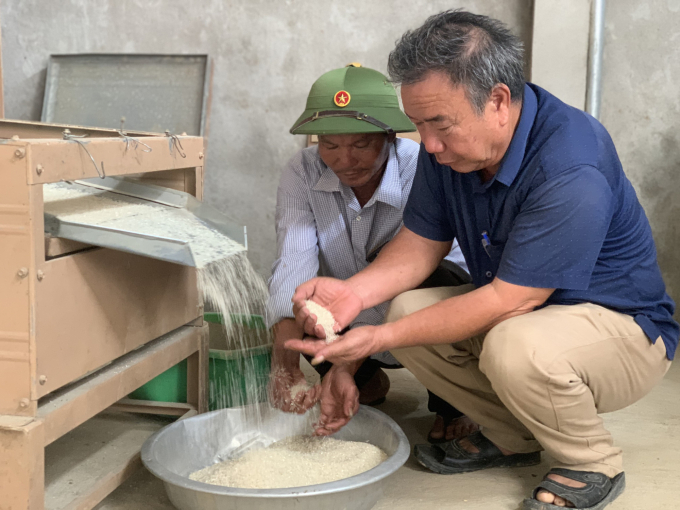 Lúa hữu cơ sản xuất trên ruộng rươi, cáy được doanh nghiệp thu mua, chế biến, cung cấp cho các siêu thị và thủ đô Hà Nội. Ảnh: Thanh Nga.