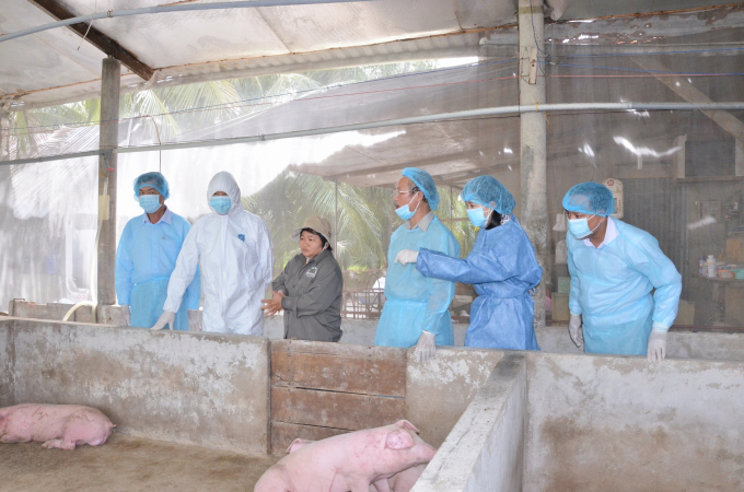 Đoàn công tác kiểm tra tình hình tái đàn lợn tại Tiền Giang. Ảnh: Minh Đảm.