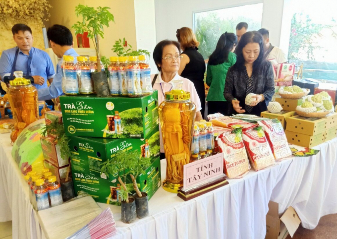 HTX đưa sản phẩm trà sâm đinh lăng đóng chai tham gia các hội chợ kết nối cung cầu do các bộ ngành và các tỉnh thành tổ chức. Ảnh: Minh Sáng