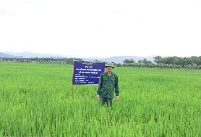 Dự án phát triển vùng nuôi rươi thương phẩm kết hợp canh tác lúa hữu cơ được thực hiện ở 3 địa phương trong tỉnh Quảng Ninh gồm: Đông Triều, Uông Bí, Quảng Yên. Ảnh: Anh Thắng.