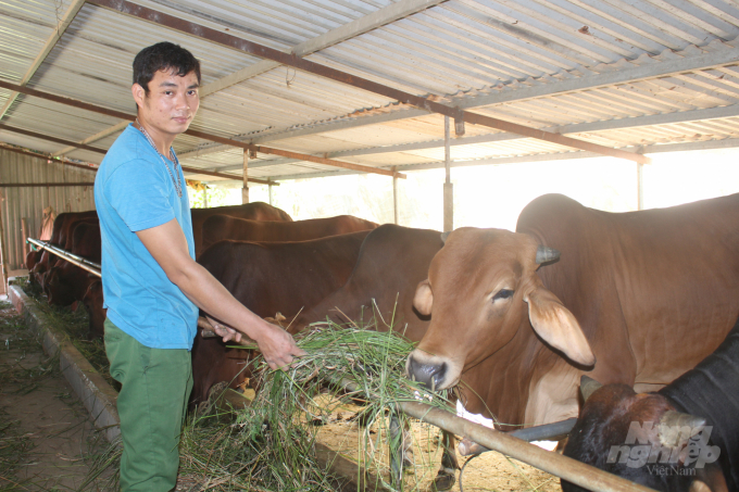 Chuỗi khép kín trong chăn nuôi Mở đường cho sản phẩm sạch KỲ 2 Để chăn nuôi  gà phát triển bền vững  Báo Tây Ninh Online