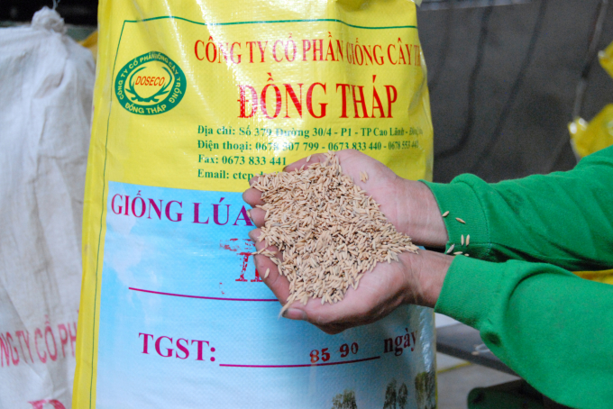 Sản xuất lúa giống chất lượng cao tại nhà máy của Công ty Cổ phần Giống cây trồng Đồng Tháp. Ảnh: Lê Hoàng Vũ.