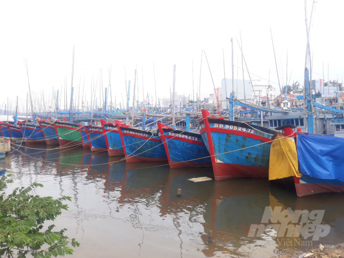 Cảng cá Tam Quan (TX Hoài Nhơn, Bình Định) quá tải so với lực lượng tàu cá của địa phương. Ảnh: Vũ Đình Thung.