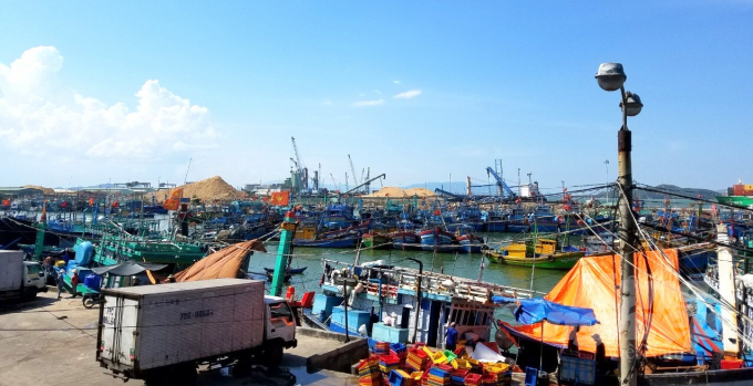 Cảng cá Quy Nhơn (TP Quy Nhơn, Bình Định) cũng quá tải trong mùa mưa bão. Ảnh: Vũ Đình Thung.