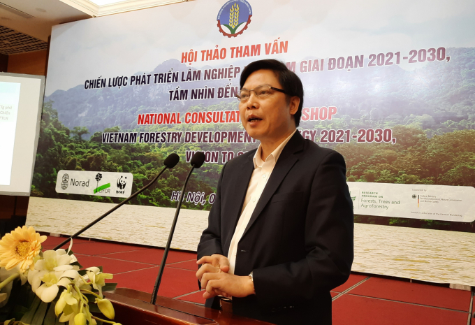 Deputy director general of Viet Nam Administration of Forestry Pham Van Dien presents the draft strategy for Viet Nam’s forestry development in the period of 2021-2030, a vision towards 2050. Photo: Nguyen Huan.