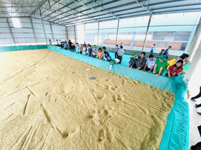 VnSAT hỗ trợ lò sấy lúa cho HTX Hiếu Bình, huyện Vĩnh Thạnh, TP Cần Thơ với công suất 40 tấn/mẻ. Ảnh: Lê Hoàng Vũ. 