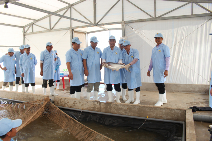 Thứ trưởng Phùng Đức Tiến cùng đoàn thăm quan khu sản xuất cá tra chất lượng cao.
