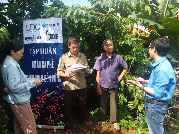 Hướng dẫn nông dân canh tác cà phê bền vững tại Lâm Đồng. Ảnh: Syngenta.