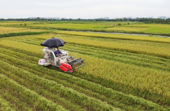 Những năm qua, ngành nông nghiệp Việt Nam đã đẩy mạnh cơ giới hóa trong sản xuất, qua đó nâng cao năng suất lao động và tạo ra giá trị gia tăng cao. Ảnh: Tùng Đinh.