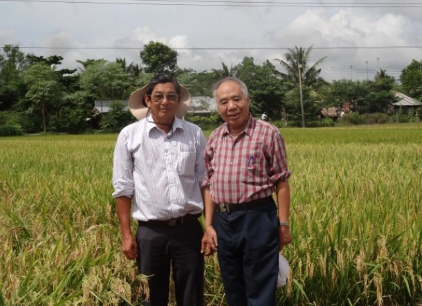 GS.TS Nguyễn Văn Luật (phải), Anh hùng lao động, nguyên Viện trưởng Viện Lúa ĐBSCL, tác giả chính của OMCS, OM, cùng kỹ sư Hồ Quang Cua (trái), Anh hùng lao động, tác giả chính các giống lúa thơm Sóc Trăng (ST) nổi tiếng Việt Nam và thế giới. Ảnh: Hoàng Kim.