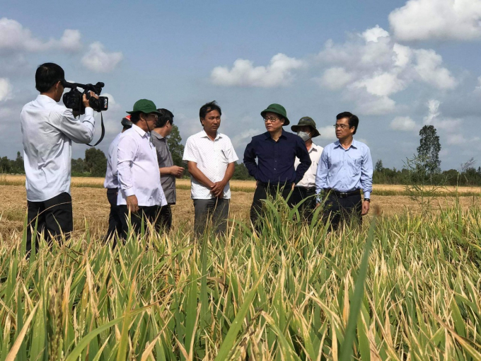  Báo Nông nghiệp Việt Nam đã góp phần trong việc thực hiện thắng lợi việc ứng phó với đợt hạn hán, xâm nhập mặn trong mùa khô 2019-2020 vừa qua. Ảnh: Trọng Linh.