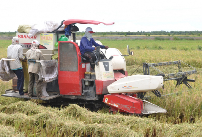 Cơ giới hoá sản lúa trên cánh đồng lớn, giải pháp nâng cao giá trị lúa gạo. Ảnh: Hữu Đức.