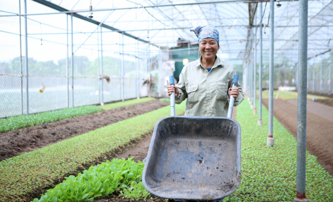 Nông dân HTX Đặng Xá phấn khởi trong hoạt động sản xuất rau an toàn theo tiêu chuẩn VietGAP. Ảnh: Minh Phúc.