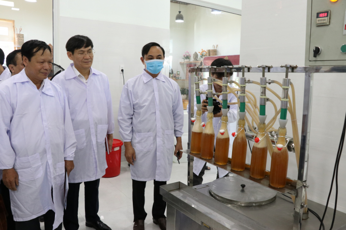 Đoàn công tác tham quan khu phức hợp sản xuất, chế biến nho của Hợp tác xã nho Evergreen Ninh Thuận. Ảnh: CT.