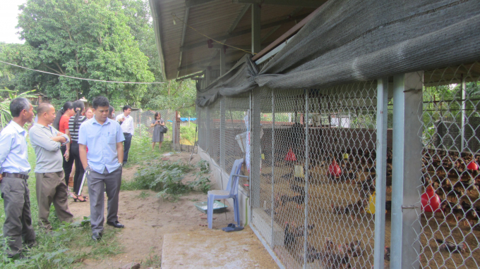 Các đại biểu tham quan mô hình chăn nuôi gà an toàn sinh học