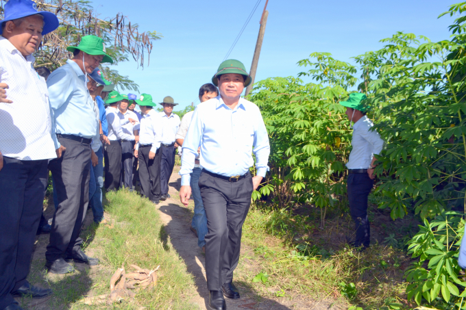 Thứ trưởng Bộ NN-PTNT Lê Quốc Doanh cùng đoàn công tác thăm mô hình chọn tạo giống kháng bệnh khảm lá sắn tại xã Tân Hội, huyện Tân Châu, Tây Ninh. Ảnh: Trần Trung.