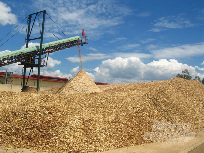 Bất chấp dịch Covid-19, xuất khẩu dăm gỗ ở Bình Định vẫn ổn định, giải quyết việc làm cho nhiều lao động làm việc tại các nhà máy chế biến dăm. Ảnh: Vũ Đình Thung.