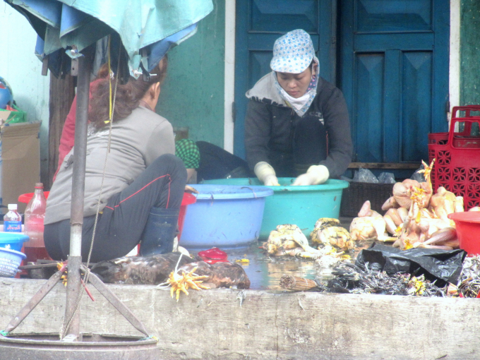 Nhiều hộ dân ở khu vực chợ Đầm thuộc phường Thị Nại (TP Quy Nhơn, Bình Định) tận dụng vỉa hè làm nơi giết mổ gia cầm. Ảnh: Vũ Đình Thung.