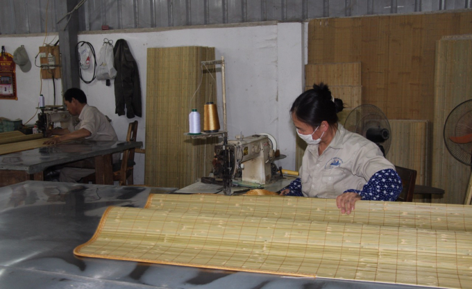 Hợp tác xã nông sản Tân Việt Á tạo việc làm trong mùa dịch chơ nhiều người dân huyện Nguyên Bình, tỉnh Cao Bằng.