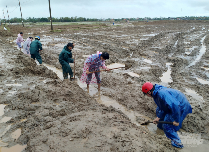 Trên 1.600ha đất sản xuất nông nghiệp ở tỉnh Quảng Trị bị bồi lấp sau mưa lũ. Ảnh: Công Điền.