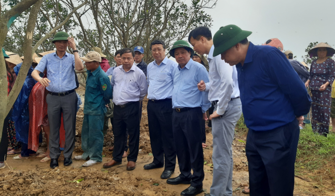 Thứ trưởng Lê Quốc Doanh cùng đoàn công tác Bộ NN-PTNT đến khảo sát thiệt hại của người trồng thanh trà ở Thừa Thiên- Huế. Ảnh: Tiến Thành.