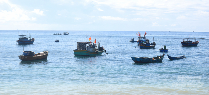Bình Định còn nhiều tàu cá khai thác thủy sản gần bờ. Ảnh: Vũ Đình Thung.
