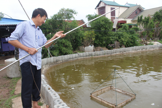 Ông Minh kiểm tra chất lượng tôm giống.