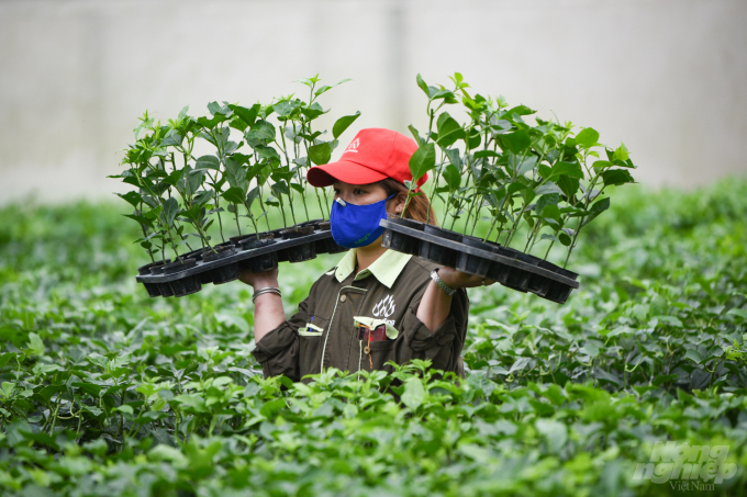 Đối tác công tư đã góp phần nâng tầm nông sản Việt hội nhập quốc tế. Ảnh: Tùng Đinh. 