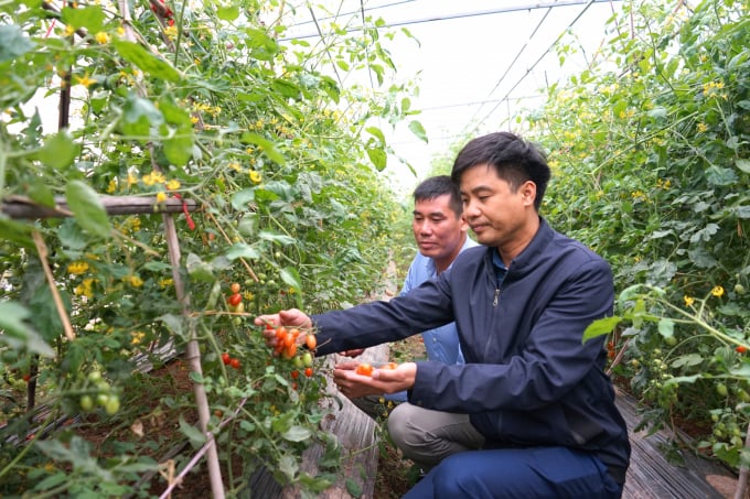 Mô hình sản xuất rau, củ, quả theo tiêu chuẩn VietGAP của HTX Nông nghiệp Yên Phú, huyện Yên Mỹ. Ảnh: Hoàng Dân.