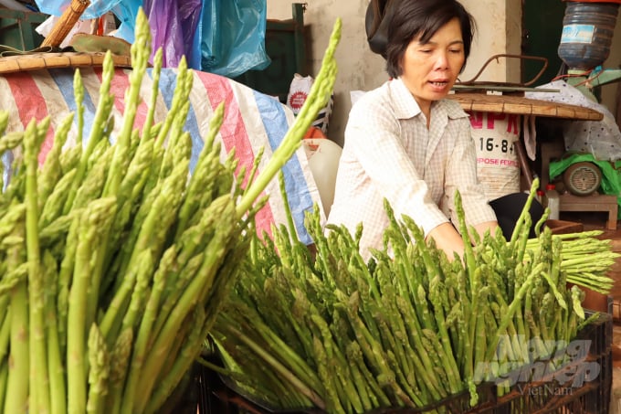 Sản phẩm của Hợp tác xã măng tây xanh Langbiang đang được một doanh nghiệp bao tiêu với mức giá 60.000 đồng/kg. Ảnh: Minh Hậu. 