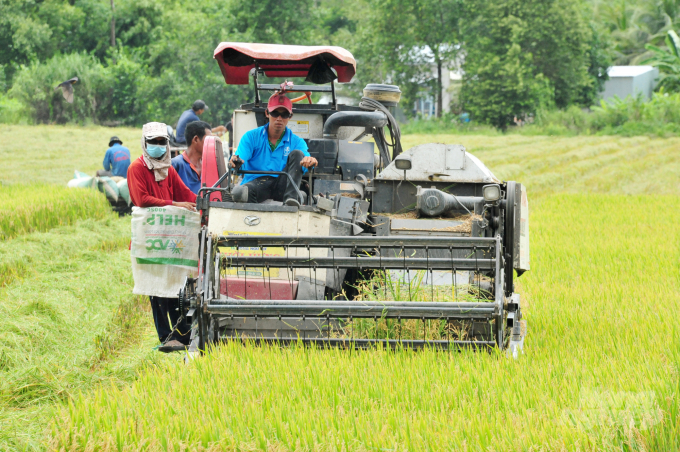 Những năm gần đây, HTX ở An Giang phát triển cả về số lượng và chất lượng, cơ bản khắc phục được tình trạng yếu kém kéo dài. Ảnh: Lê Hoàng Vũ.