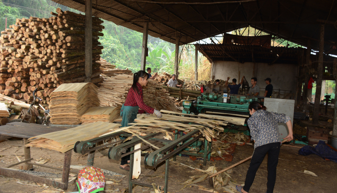 Cần đóng BHXH cho người lao động.