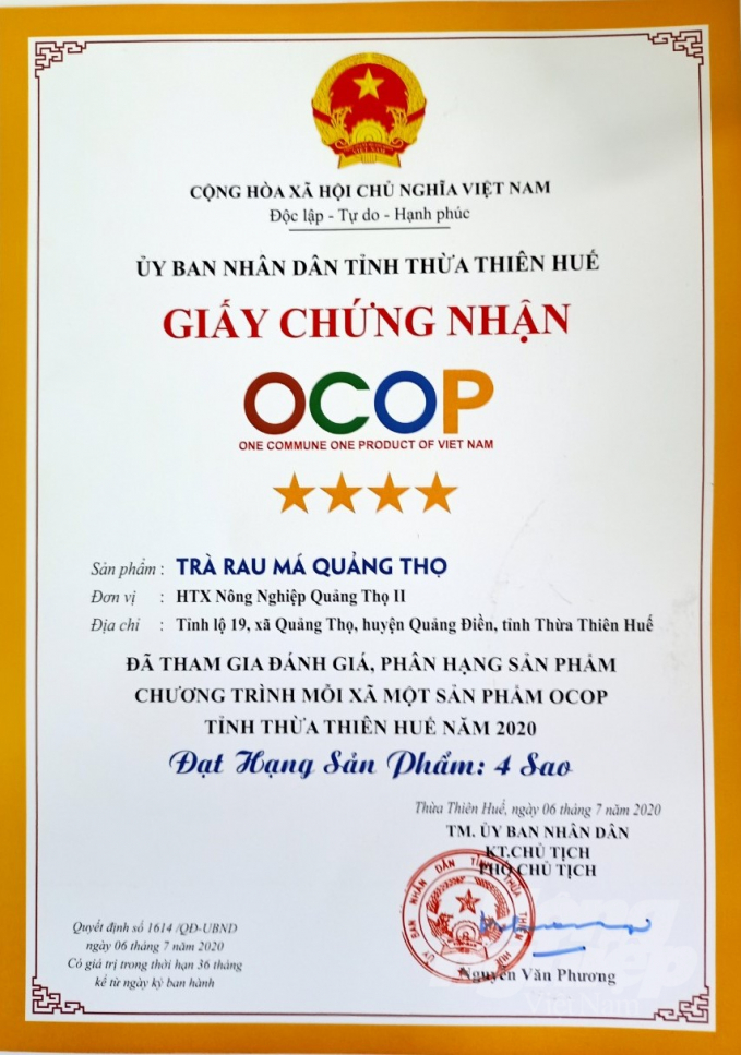 Trà rau má Quảng Thọ được chứng nhận sản phẩm Ocop 4 sao. Ảnh: Tiến Thành.