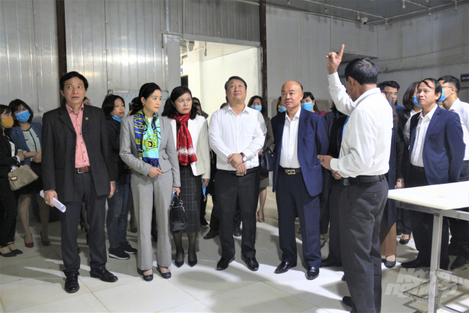 Đoàn đại biểu các cơ quan ban ngành nông nghiệp Hà Nội thăm cơ sở HTX Hoàng Long. Ảnh: Phạm Hiếu.