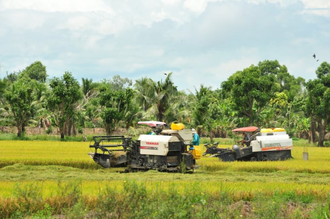 Từ sự hỗ trợ của dự án VnSAT ngành hàng lúa gạo ĐBSCL đang có bước phát triển bền vững. Ảnh: Lê Hoàng Vũ.