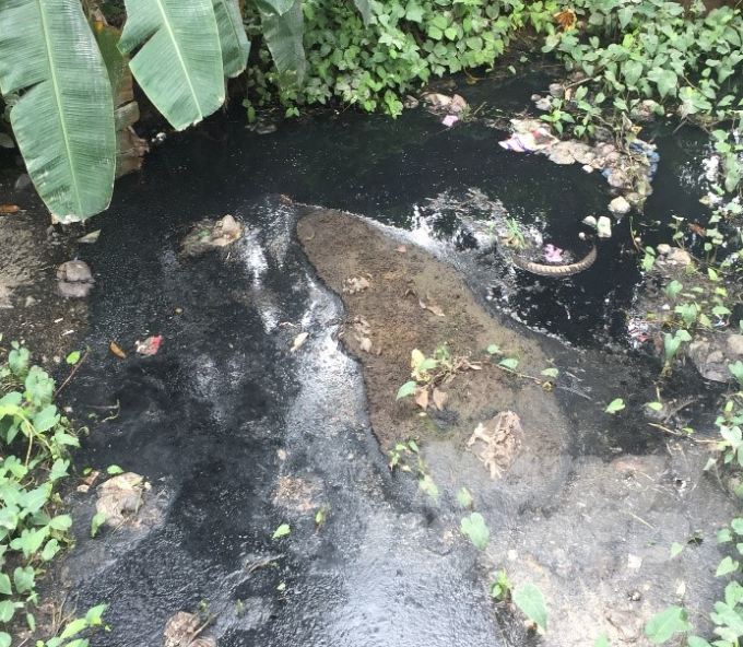 Tình trạng ô nhiễm nước tại hệ thống Bắc Hưng Hải.