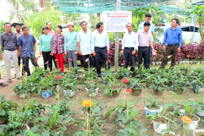 Nông dân làng hoa Gia An Nam tham quan mô hình trồng hoa đồng tiền trong chậu của anh Nguyễn Minh Phúc. Ảnh: Vũ Đình Thung.