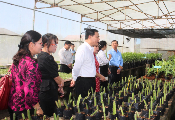 Bộ trưởng Nguyễn Xuân Cường thăm và làm việc tại Viện Cây ăn quả Miền Nam sáng 21/12. Ảnh: Minh Đảm.