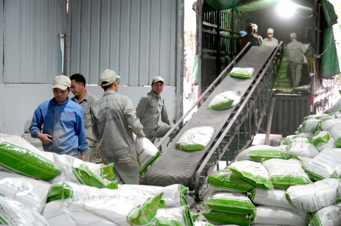 Công nhân công ty Đức Quý vận chuyển lô hàng thạch đen đầu tiên xuất khẩu chính ngạch sang thị trường Trung Quốc. Ảnh: Minh Phúc.
