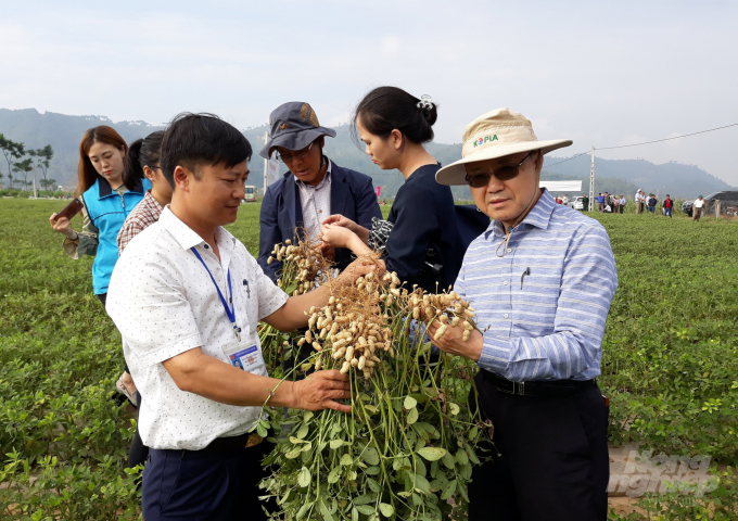 Chương trình OCOP đi vào chiều sâu là cơ hội để nâng tầm các sản phẩm nông nghiệp đặc trưng của Nghệ An. Ảnh: VK.