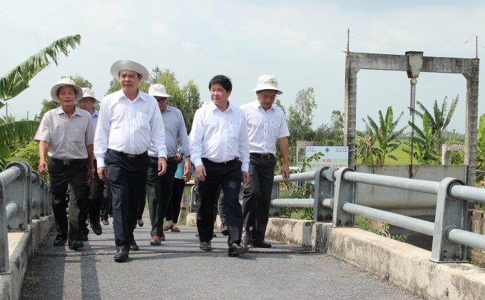 Thứ trưởng Lê Quốc Doanh và lãnh đạo UBND tỉnh Hậu Giang đi thị sát vùng trồng lúa đông xuân của tỉnh. Ảnh: Tuấn Phát.
