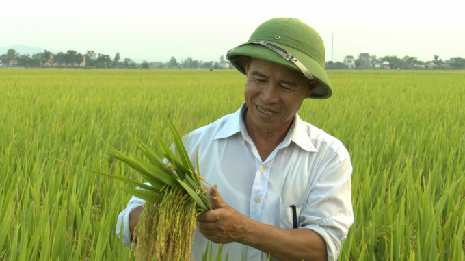 Nông dân huyện Diễn Châu, tỉnh Nghệ An vui mừng khi được hỗ trợ giống, vật tư đầu vào để nhân rộng sản xuất giống lúa VTNA6. Ảnh: Minh Phúc.