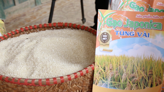 Người tiêu dùng ngày càng ưa chuộng sản phẩm gạo Japonica được sản xuất tại các tỉnh phía Bắc. Ảnh: Minh Phúc.
