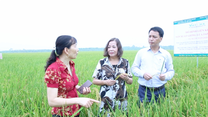 Bà Nguyễn Thị Tâm – Tổng Giám đốc Công ty Cổ phần Giống – Vật tư nông nghiệp công nghệ cao Việt Nam (giữa), chia sẻ về quá trình phát triển giống lúa J02 tại các tỉnh miền Bắc, miền Trung và Tây Nguyên. Ảnh: Minh Phúc.