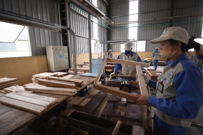 Chế biến gỗ XK tại Công ty cổ phần Woodsland Tuyên Quang. Ảnh: Tùng Đinh.