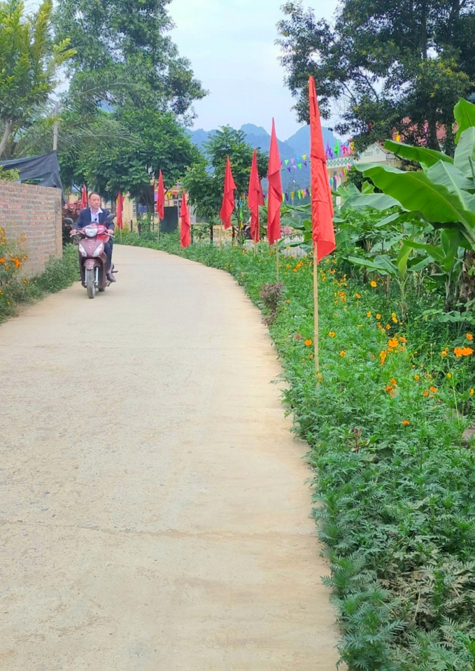 11,2 km đường hoa, cây xanh dọc các tuyến trục đường trục xã, đường trục bản đã được cán bộ, nhân dân trồng càng làm đẹp thêm cảnh làng quê. ảnh: Hương My