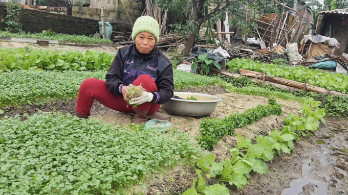 Bà Nguyễn Thị Thương: 'Bán hết vườn rau cũng có được vài triệu đồng đấy'. Ảnh: N.Tâm.