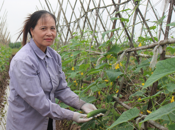 Bà Phạm Thị Ngát, Trưởng nhóm Tổ sản xuất rau an toàn xã Nghĩa Hồng chia sẻ về sản xuất rau quả hữu cơ.